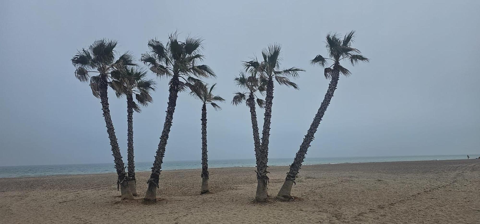 Apartamento Con Piscina Y Cerca De La Playa Canet d'En Berenguer Eksteriør billede